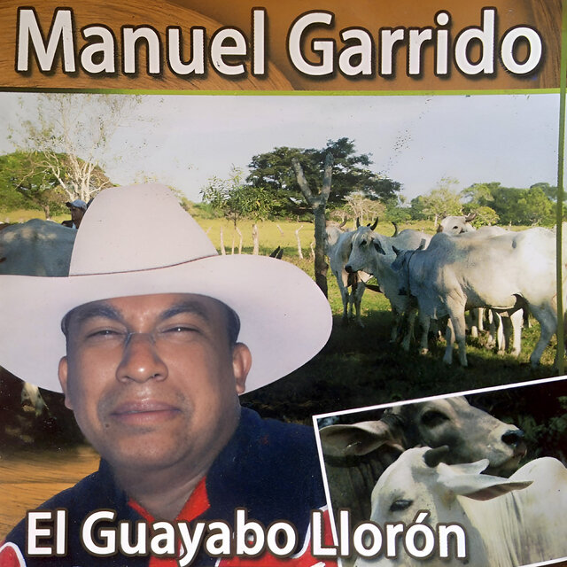 El Guayabo Llorón