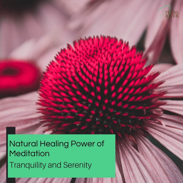 Natural Healing Power Of Meditation - Tranquility And Serenity