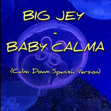 Baby Calma (Calm Down - Spanish Version)