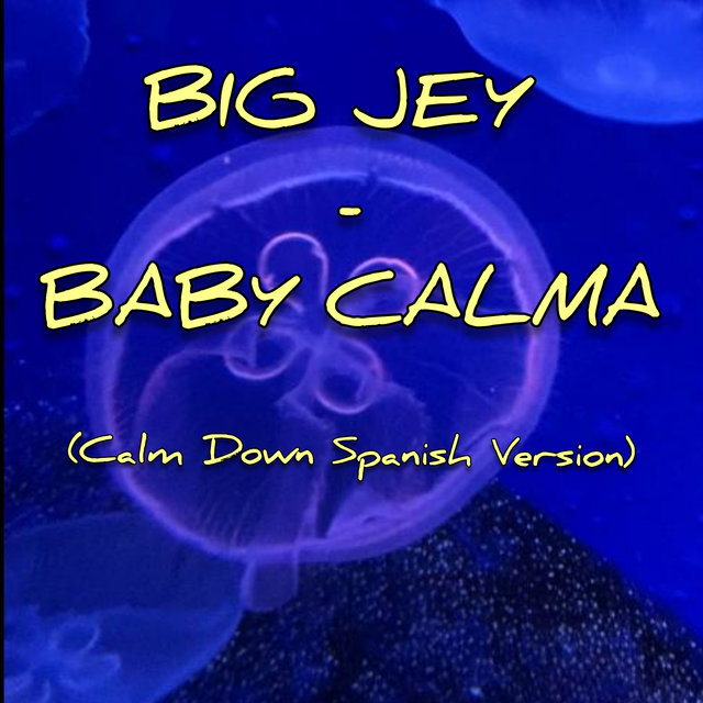 Baby Calma (Calm Down - Spanish Version)