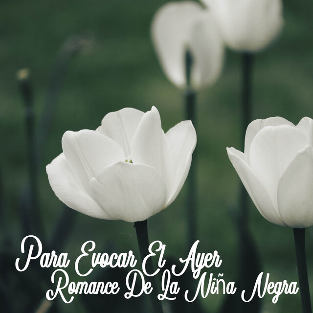 Para Evocar El Ayer/Palpita Corazón