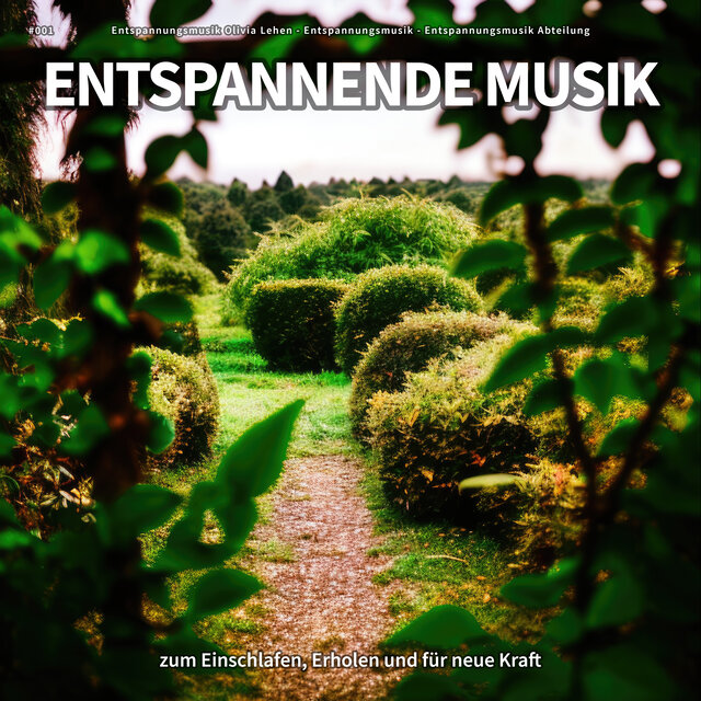 #001 Entspannende Musik zum Einschlafen, Erholen und für neue Kraft