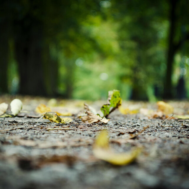 lead by nature