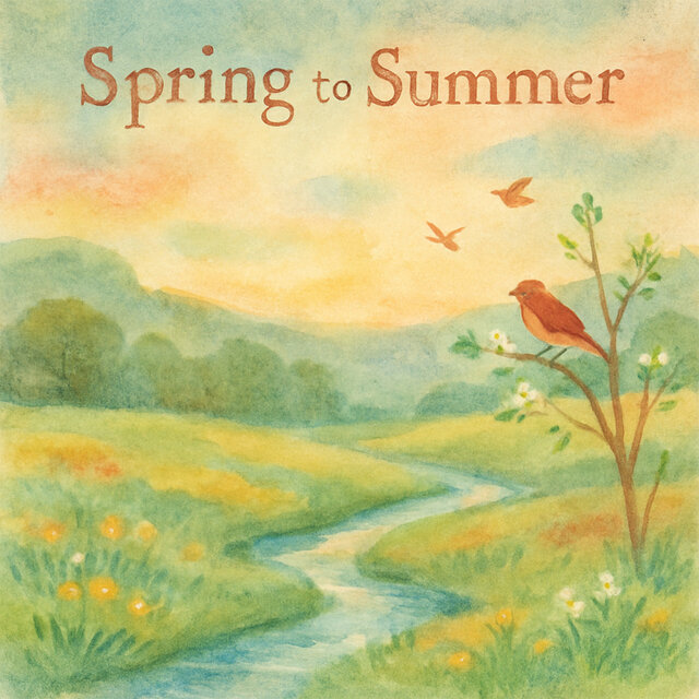 spring to summer