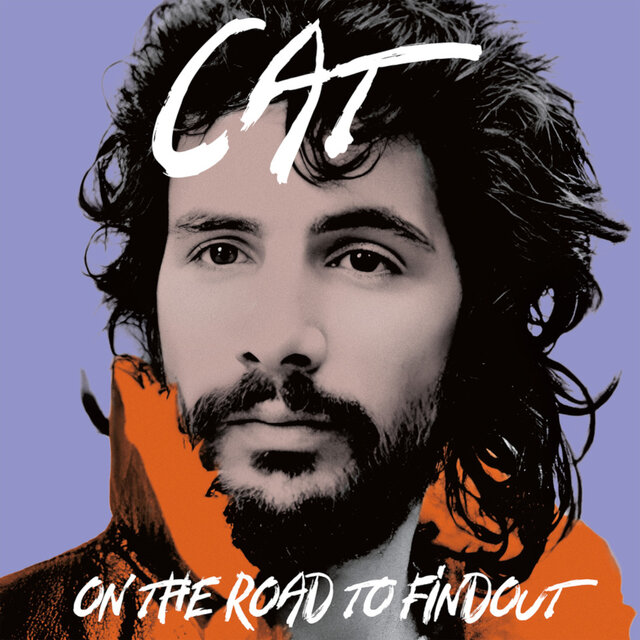 On The Road To Findout: Vol. 2