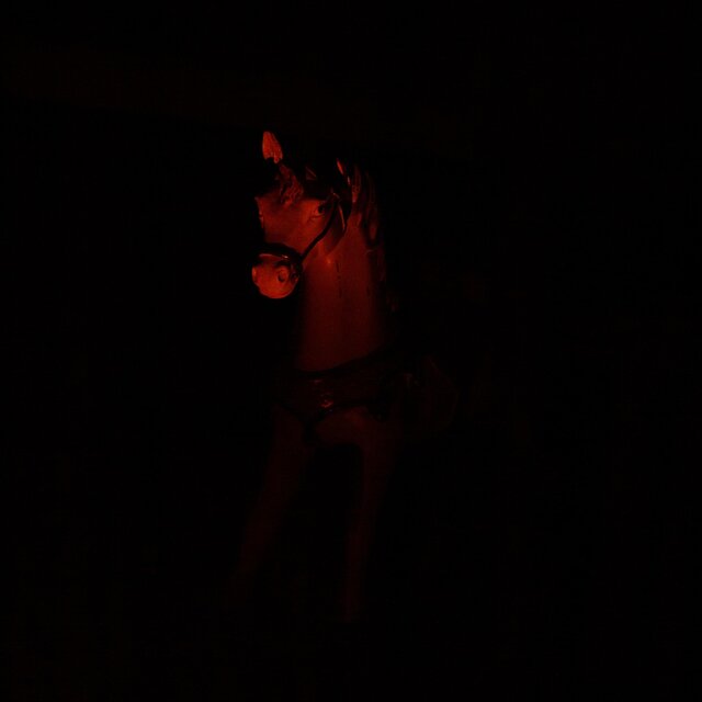 The Dark Dream of a Hikikomori (MDD with SI)