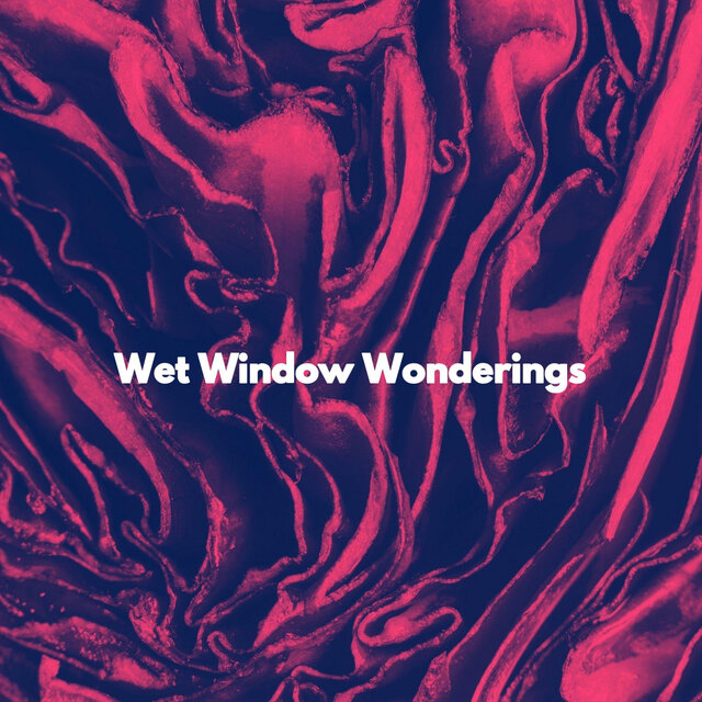 Wet Window Wonderings