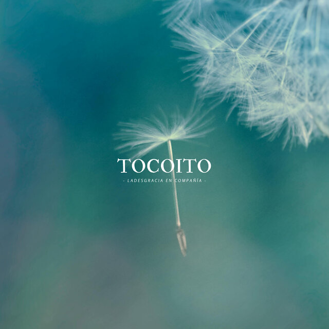 Tocoito