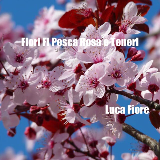 Fiori Fi Pesca Rosa e Teneri