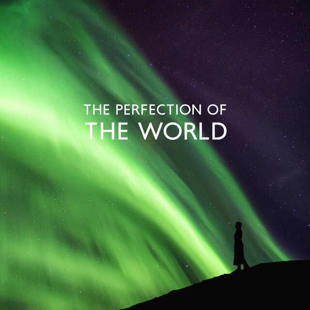 The Perfection Of The World