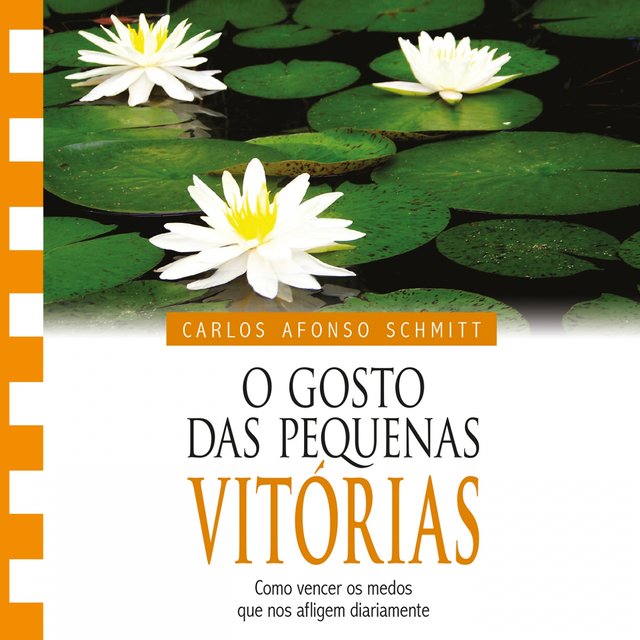 O Gosto das Pequenas Vitórias (Como Vencer os Medos Que nos Afligem)