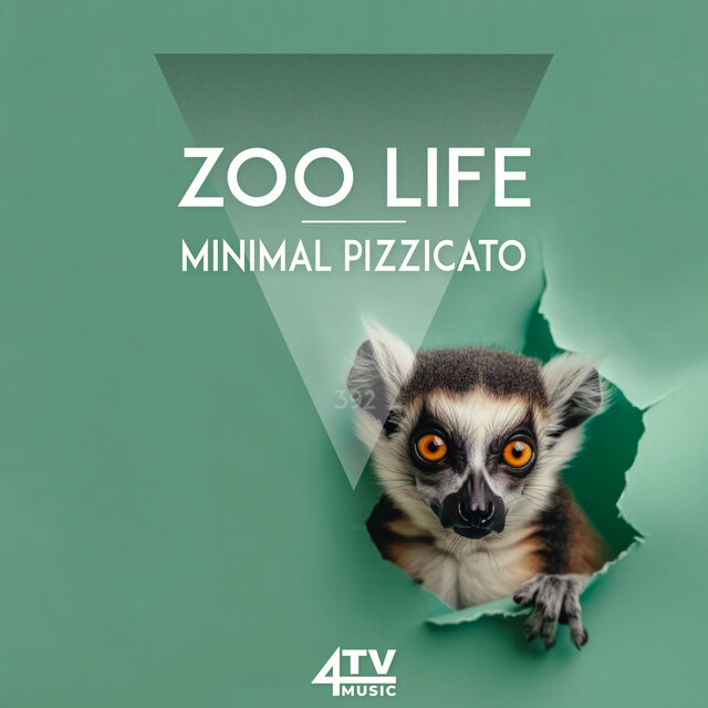 Zoo Life - Minimal Pizzicato