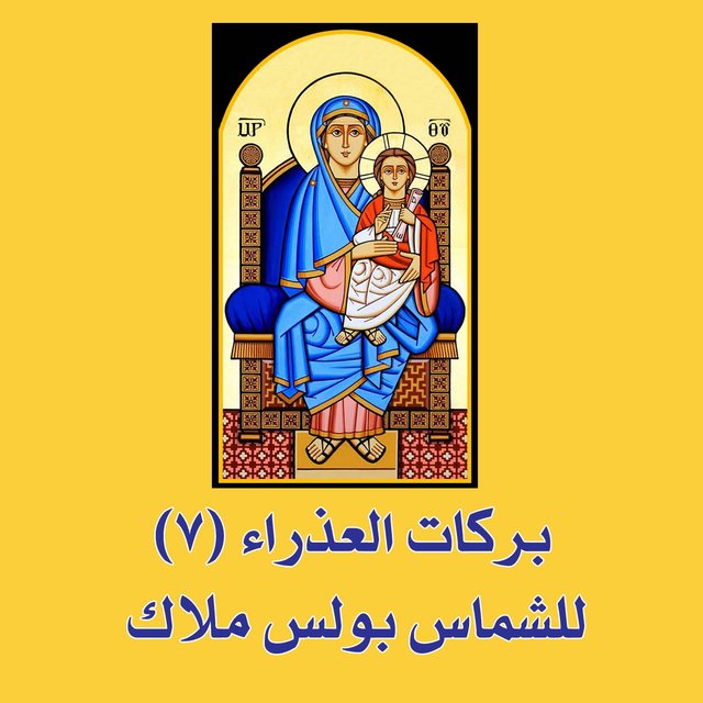 barakat alazraa, Vol. 7