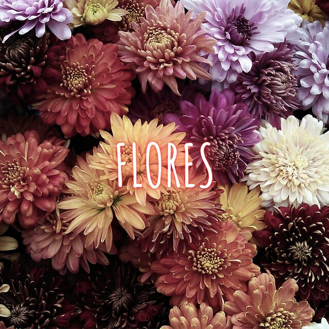 flores (Acoustic Version)