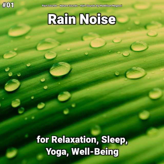#01 Rain Noise for Relaxation, Sleep, Yoga, Well-Being