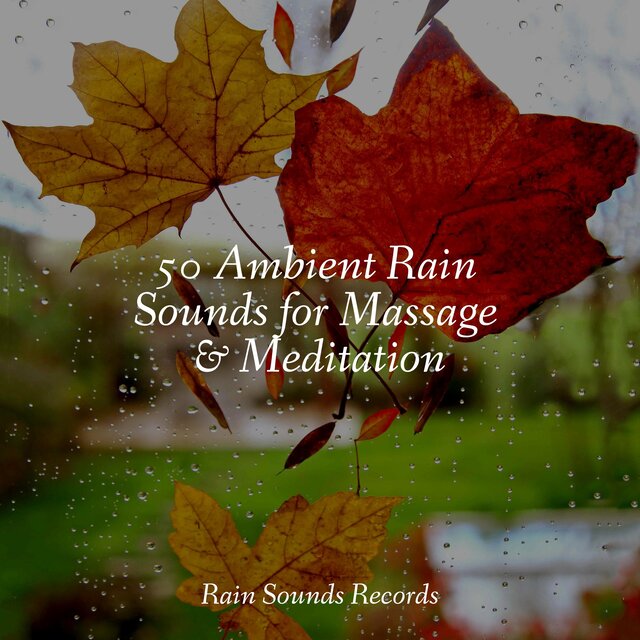 50 Ambient Rain Sounds for Massage & Meditation