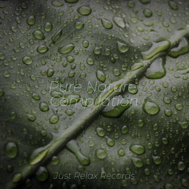 Pure Nature Compilation