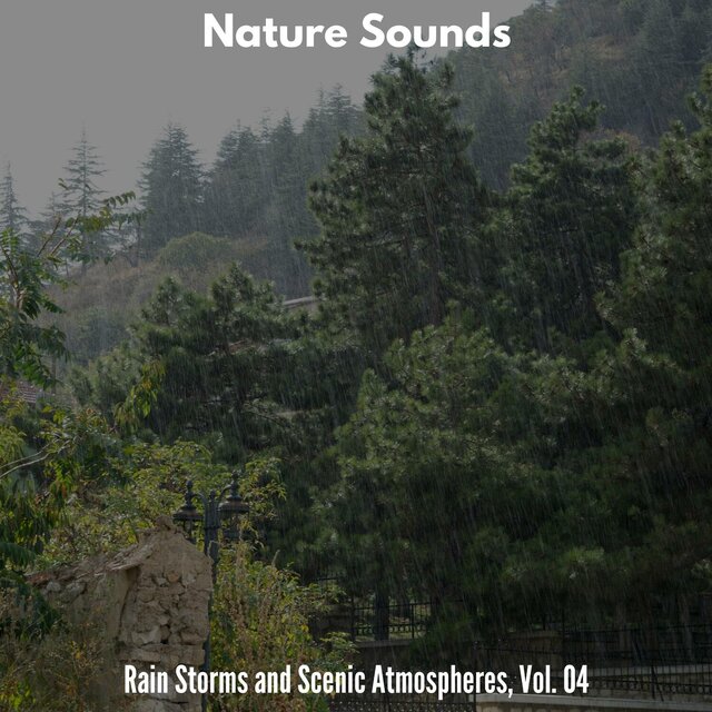 Nature Sounds - Rain Storms and Scenic Atmospheres, Vol. 04