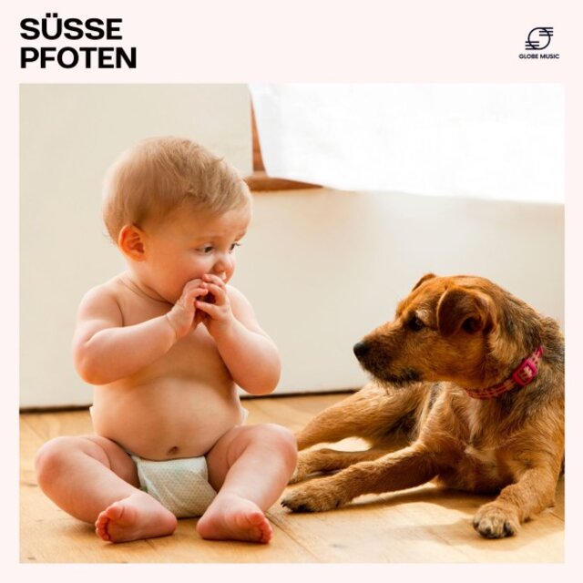 Süsse Pfoten: Entspannungsmusik für Hunde