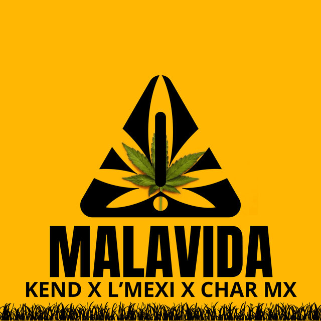 Malavida
