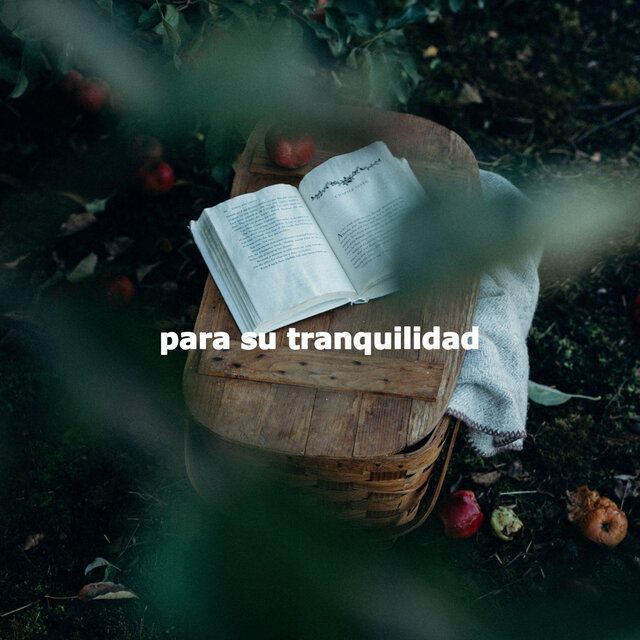 para su tranquilidad