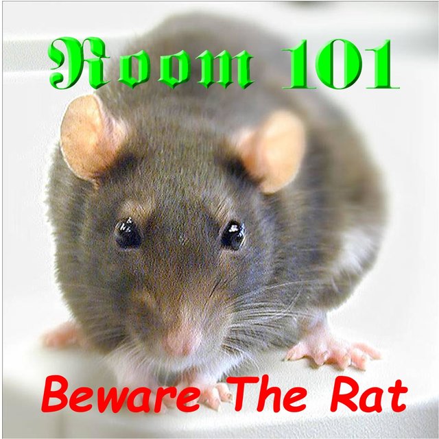 Beware The Rat