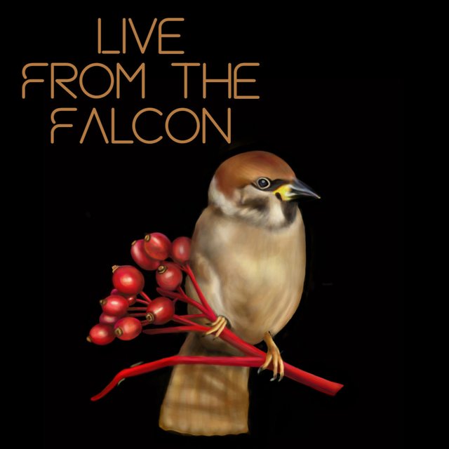 Live from the Falcon
