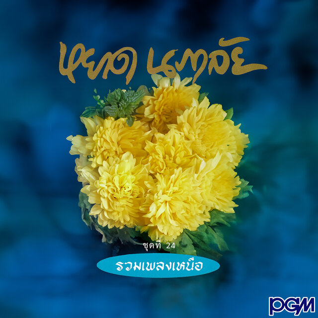 ชุดที่ 24 รวมเพลงเหนือ