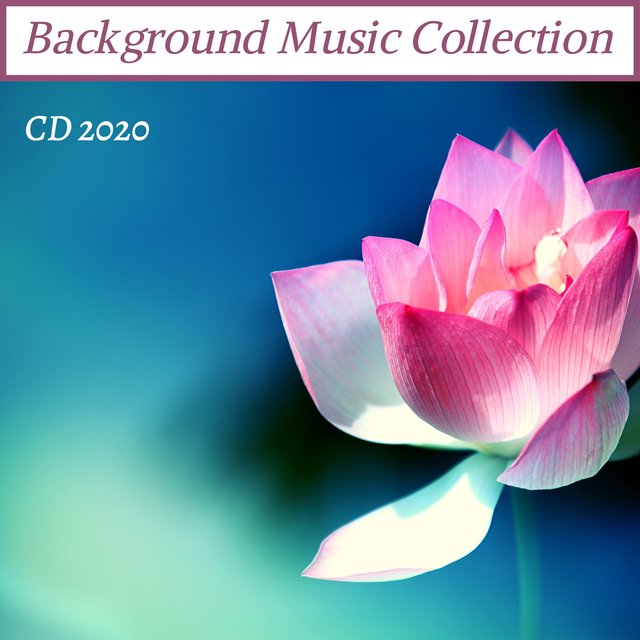Background Music Collection CD 2020 - Ambient Music Edition