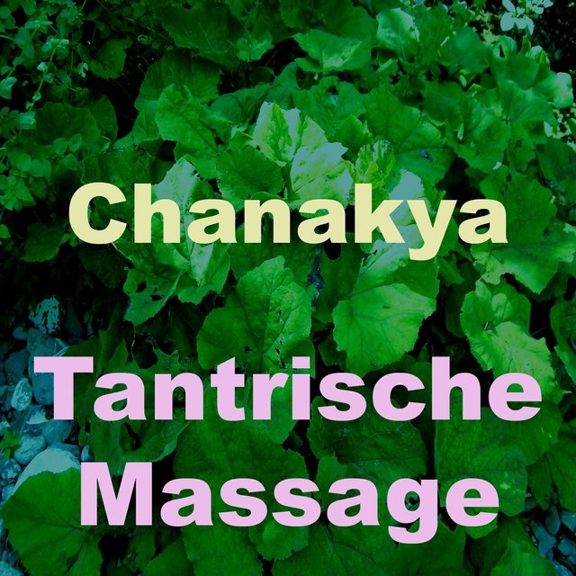 Tantrische massage (Vol. 1)