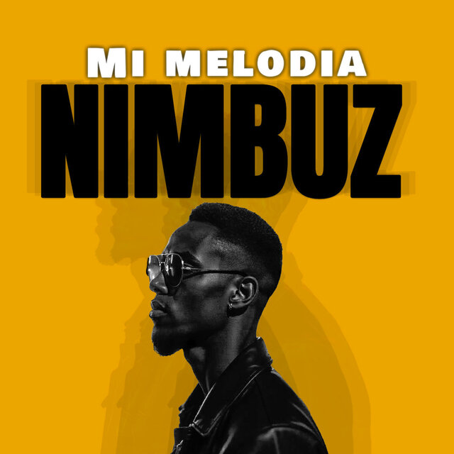 Mi melodia
