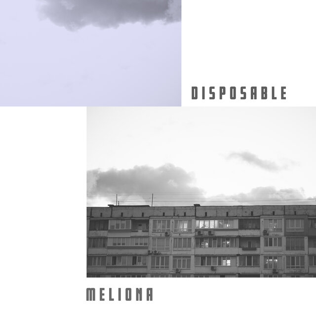 Disposable