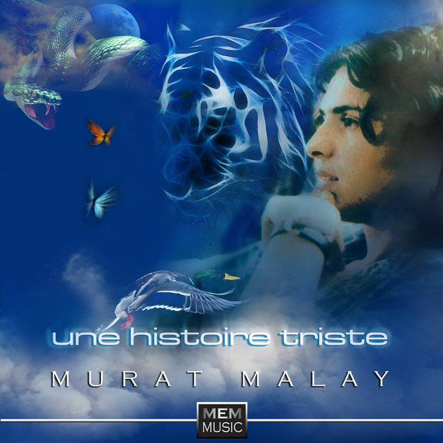 Une histoire triste