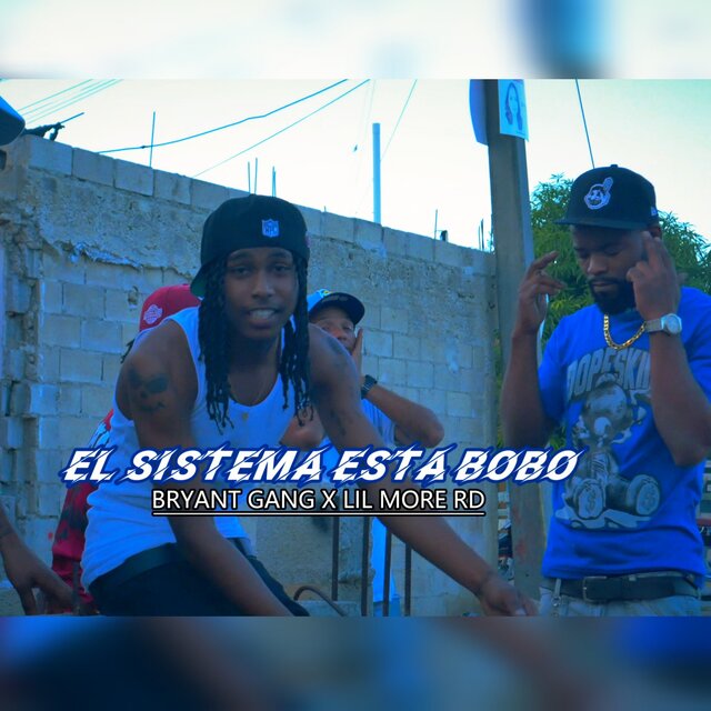 El Sistema Está Bobo
