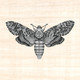 Cover art for album A LIttle Scared by A Great Notion