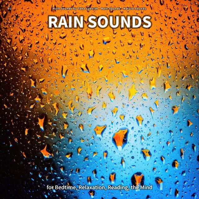 #1 Rain Sounds for Bedtime, Relaxation, Reading, the Mind
