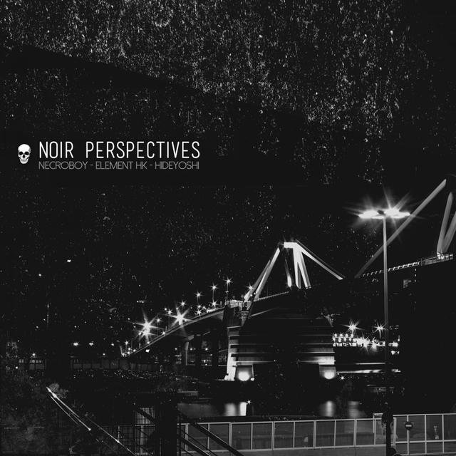 Noir Perspectives