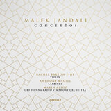 Concerto for Clarinet and Orchestra: I. Andante misterioso—Più mosso