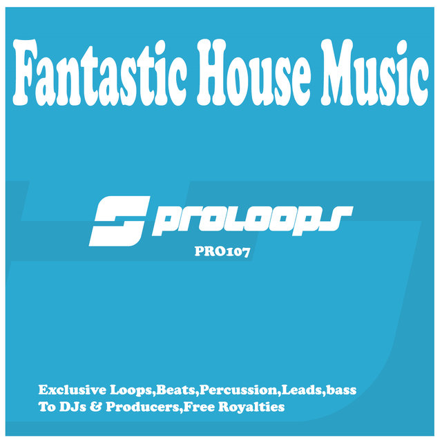 Fantastic House Music Loops