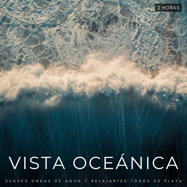 Vista Oceánica: Suaves Ondas De Agua y Relajantes Tonos De Playa - 2 Horas