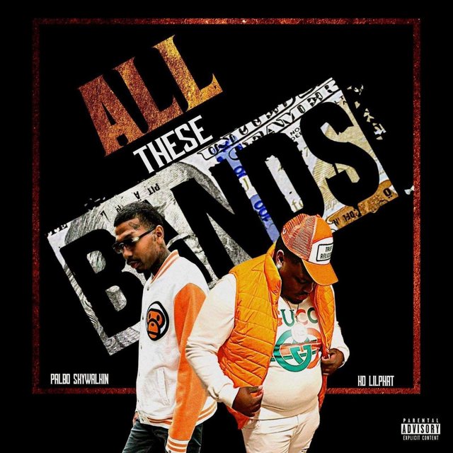All These Bands (feat. Pablo Skywalkin)