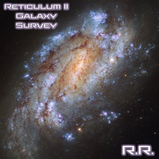 Reticulum II Galaxy Survey