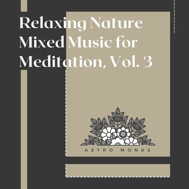 Relaxing Nature Mixed Music for Meditation, Vol. 3