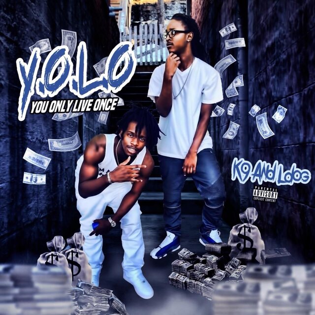 Y O L O