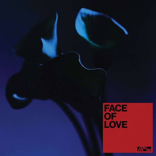 Face Of Love