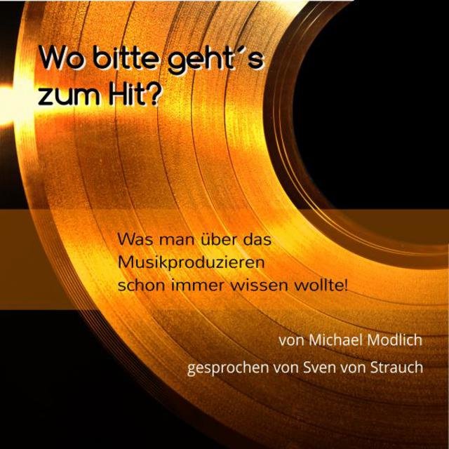 Wo bitte geht's zum Hit? (Was man über das Musikproduzieren schon immer wissen wollte!)