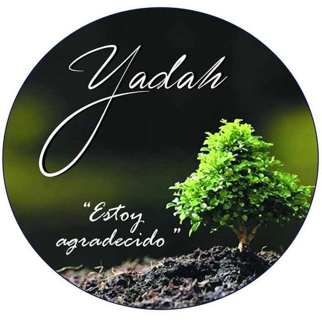 Estoy Agradecido