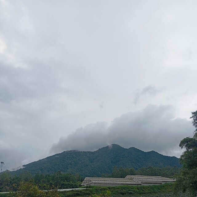 sepanjangmasa