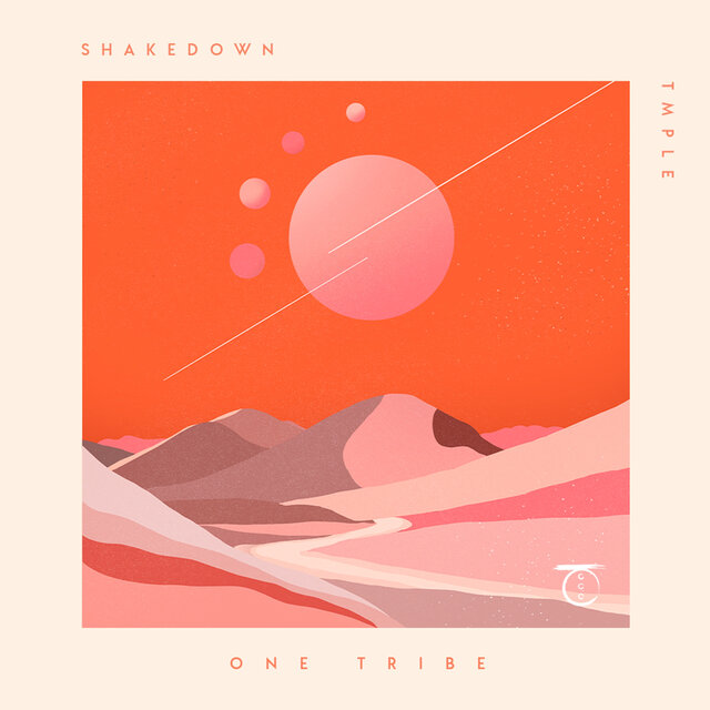 Shakedown (Extended Mix)