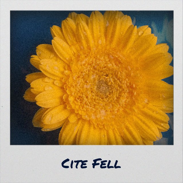 Cite Fell